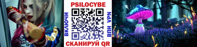 mega ТОР  цены   Осташков  Галлюциногенные грибы Psilocybine cubensis 