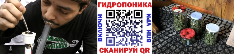 Бошки Шишки планчик Осташков